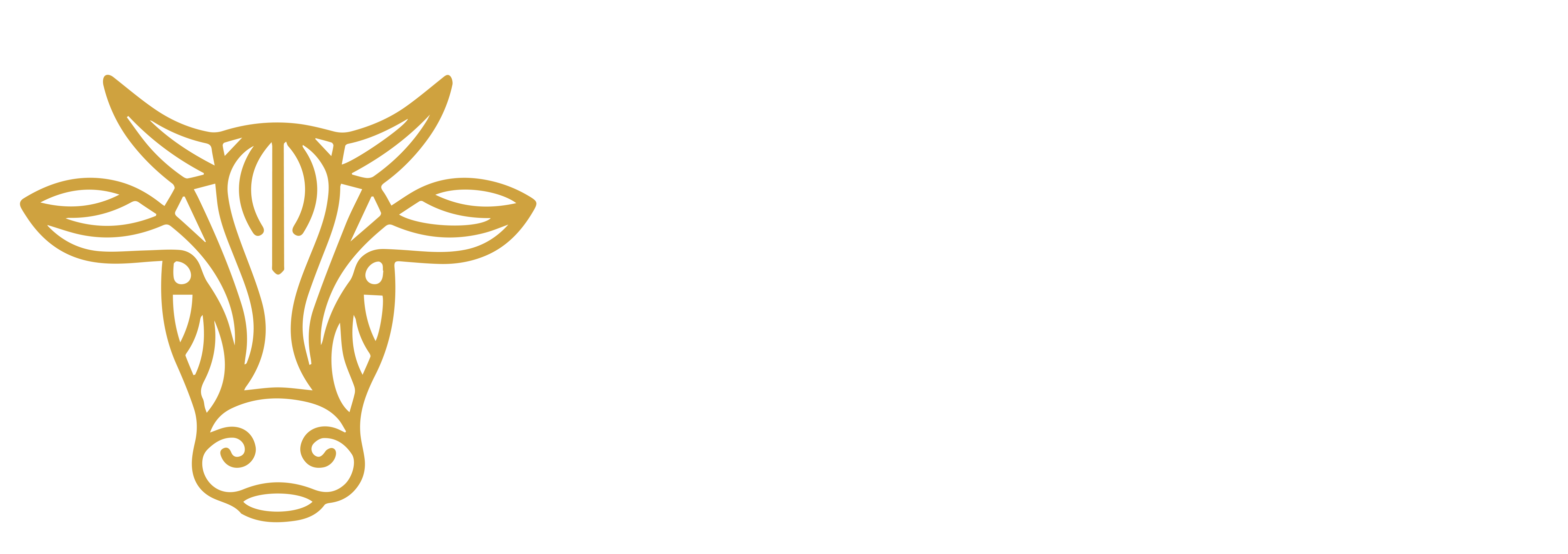 liggend-jacks-witte letters